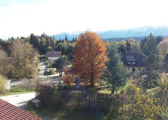 Homestay Casa Karin *